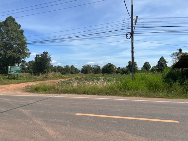 ขายที่ดิน 35 ไร่ อำเภอกบินทร์บุรี ปราจีนบุรี ติดถนนคอนกรีต เหมาะทำโรงงานหรือโกดัง ทำโคกหนองนา ติดถนนคอนกรีต